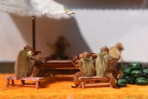 寻找济南文化符号——济南非遗“毛猴”