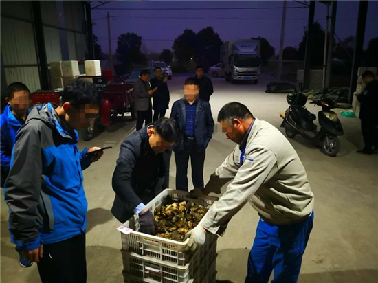 (灌云县委宣传部 供稿 县域经济列表 三吴大地连云港 移动版)江苏灌云:多部门联手向野生动物交易说“不”