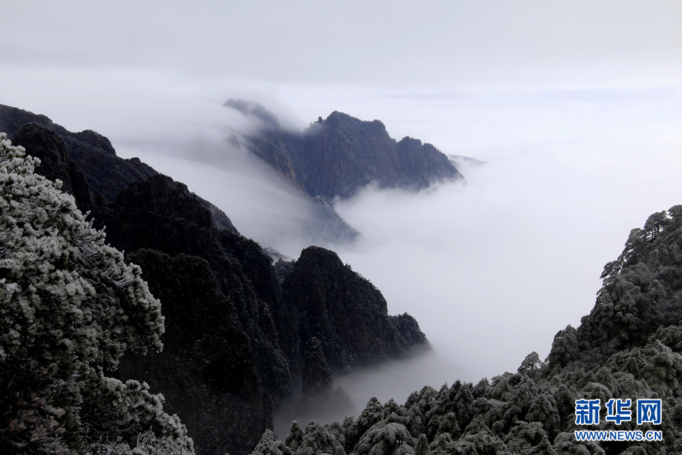 安徽黄山：流云度山海 飞雪又春风