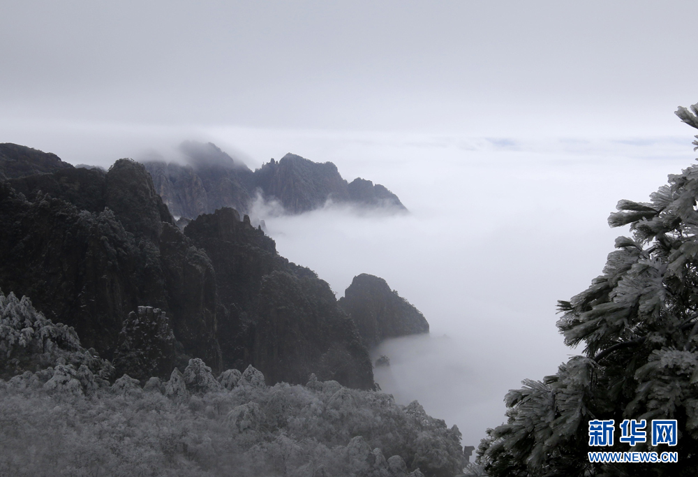 安徽黄山：流云度山海 飞雪又春风