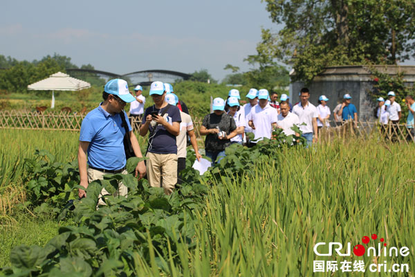 图片默认标题_fororder_媒体参观考察大致然农业基地（摄影-叶林）