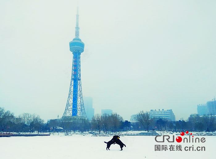 01【吉林】【原创】【CRI看吉林(标题)】【图说吉林】【白山松水(大图375 210)】【关东黑土(长春)】【移动版(列表)】【移动版(图)】雪后长春好似一幅水墨画 01【吉林】【原创】【CRI看吉林(标题)】【图说吉林】【白山松水(大图375 210)】【关东黑土(长春)】【移动版(列表)】【移动版(图)】雪后长春好似一幅水墨画