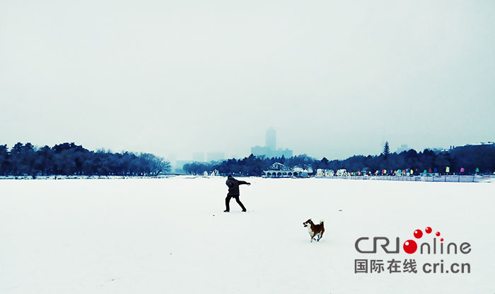 01【吉林】【原创】【CRI看吉林(标题)】【图说吉林】【白山松水(大图375 210)】【关东黑土(长春)】【移动版(列表)】【移动版(图)】雪后长春好似一幅水墨画 01【吉林】【原创】【CRI看吉林(标题)】【图说吉林】【白山松水(大图375 210)】【关东黑土(长春)】【移动版(列表)】【移动版(图)】雪后长春好似一幅水墨画