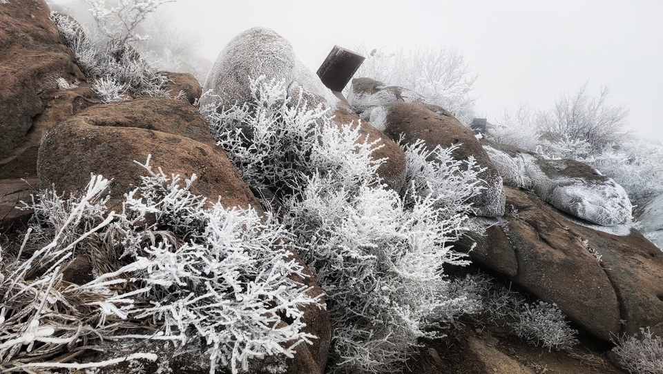 腊八送祝福，崂山巨峰迎“羽毛雪”