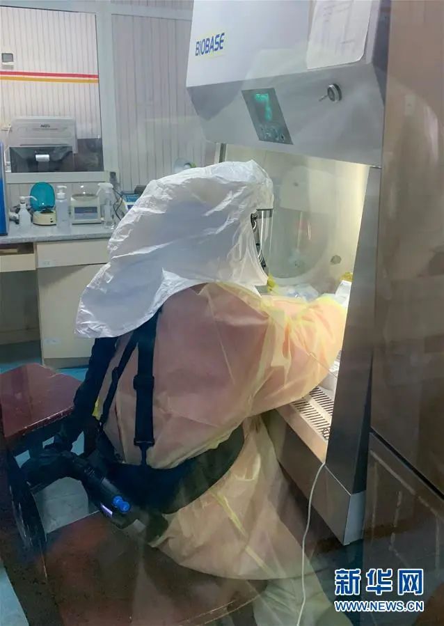 新华社：上！！！