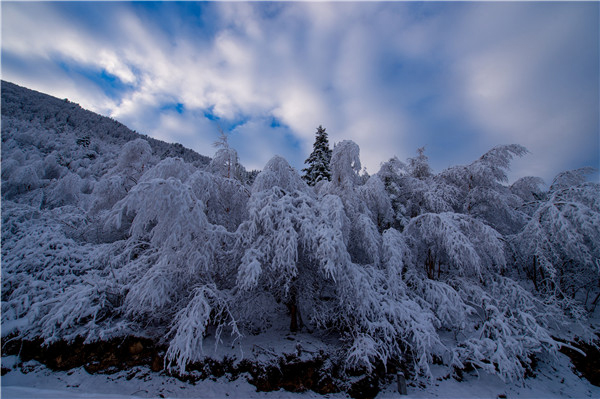 雪境仙山 四姑娘山诚邀广大游人共赏_fororder_2、四姑娘景区风光-摄影-黄继舟