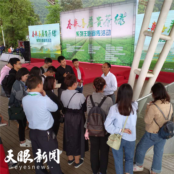 （市州）春来喜看贵茶绿！全国40余家媒体走进贵州探寻“茶”故事