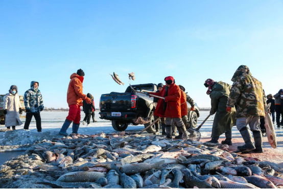 连续23年国内、出口销量第一 长城皮卡2020年全球销售突破22.5万辆