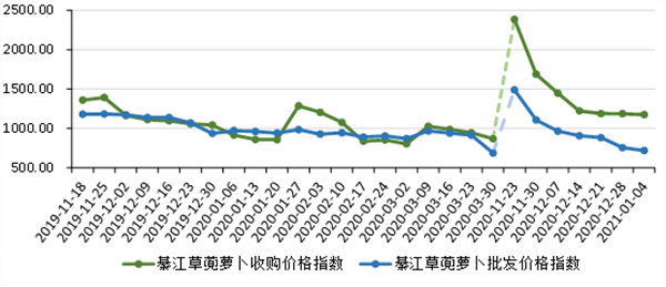 【B】重庆綦江草蔸萝卜市场行情总体平稳 不同规格品差异明显