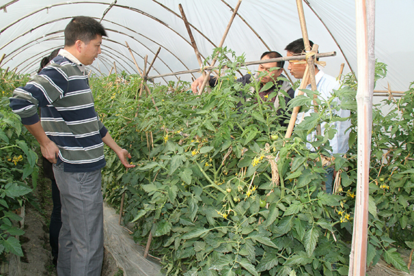 图片默认标题_fororder_专家指导现场-供图-彭州市委宣传部1