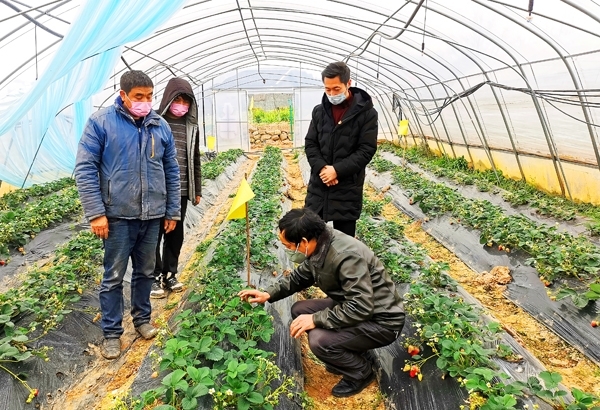 （转载）广元利州区：奋斗迈进新一年