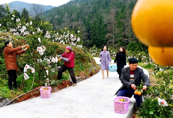 （转载）广元利州区：奋斗迈进新一年