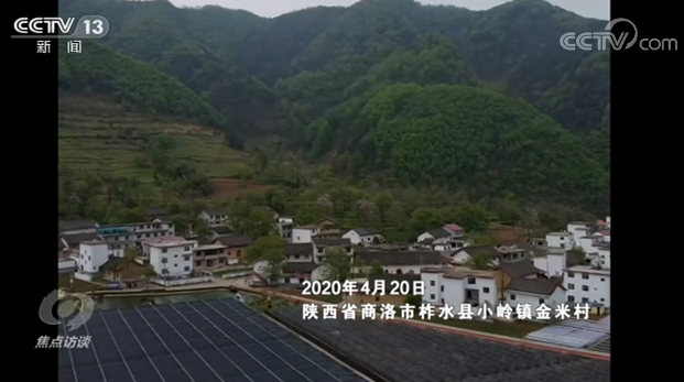 焦点访谈丨总书记以上率下做的这件事,向全社会做出了榜样!