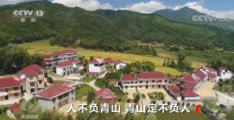 焦点访谈丨人不负青山 青山定不负人