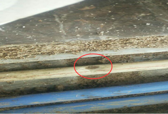 沈阳奥园·国际城遭投诉 电梯带水作业危及安全 沈阳奥园·国际城遭投诉 电梯带水作业危及安全