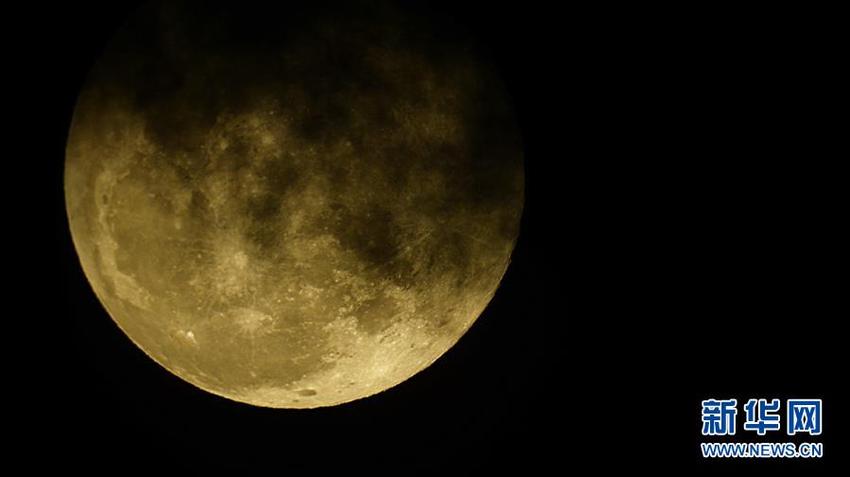 图片默认标题_fororder_17