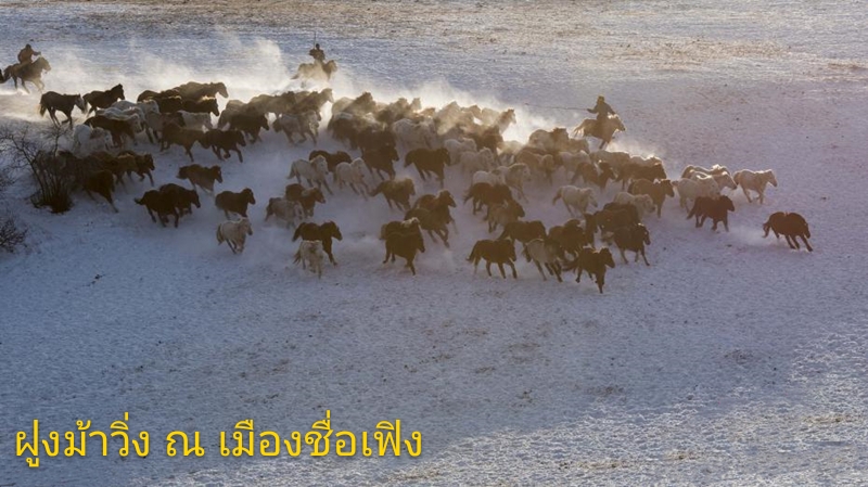 图片默认标题_fororder_2019011104news2