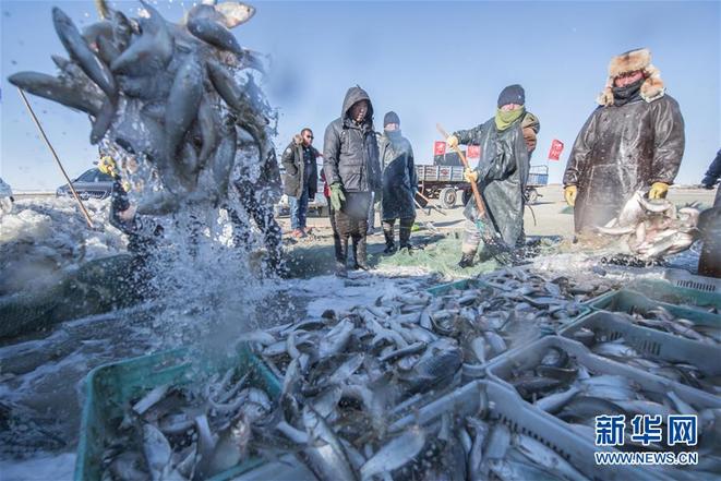 图片默认标题_fororder_ikan2