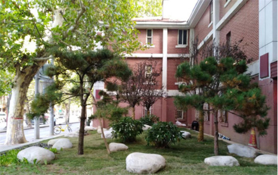 西安碑林区:让城区宜居和谐更美好 西安碑林区:让城区宜居和谐更美好