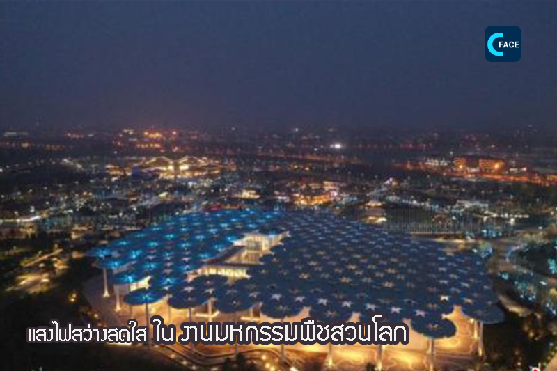 图片默认标题_fororder_04_2