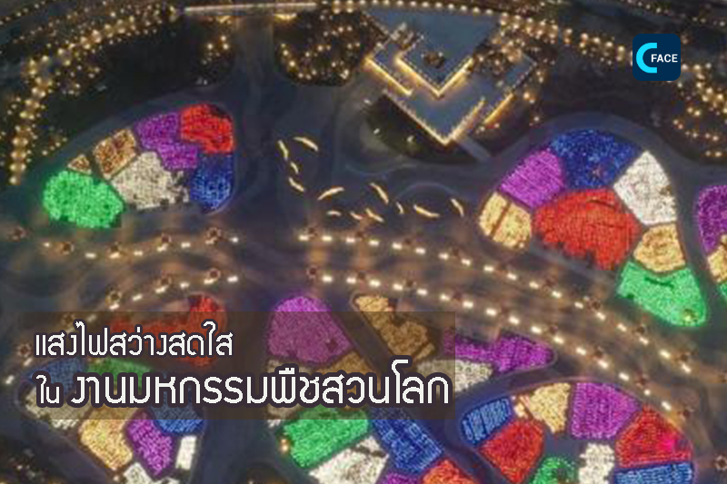 图片默认标题_fororder_04