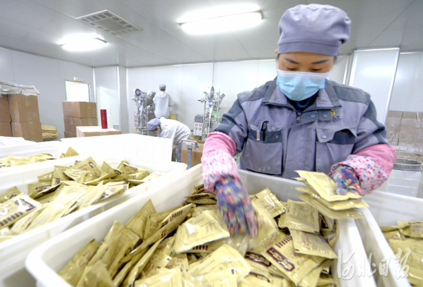 河北安国:中药材产业链不断延伸