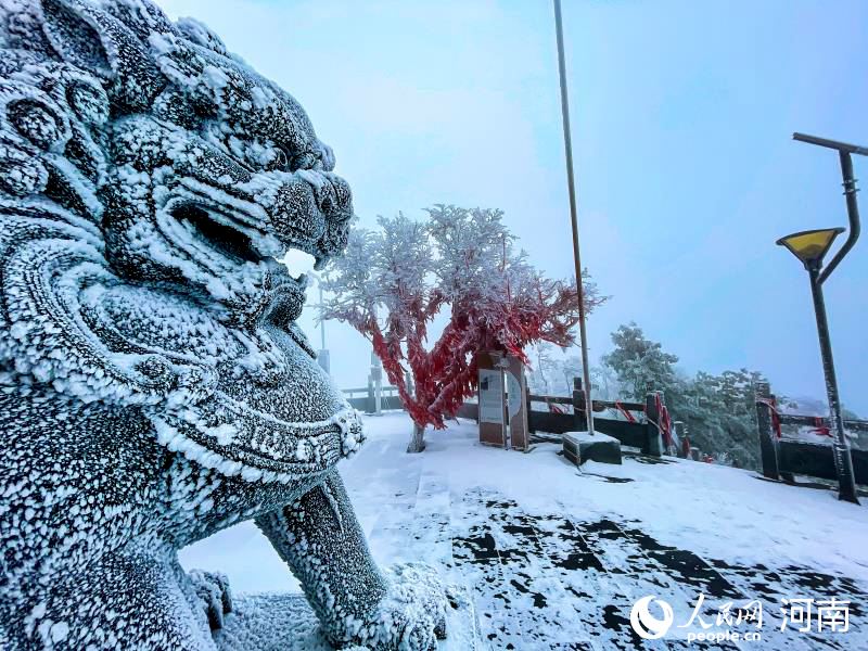 玉树琼花美轮美奂：洛阳白云山迎2021年首场降雪