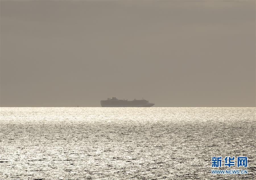「新华网」发生新冠疫情的“至尊公主”号邮轮抵达旧金山附近海域