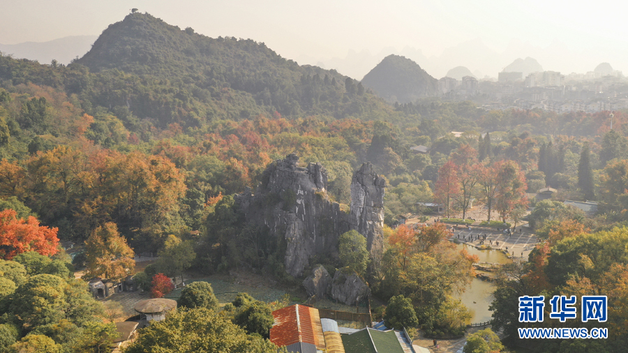 桂林网红枫叶打卡点，你知道几个？