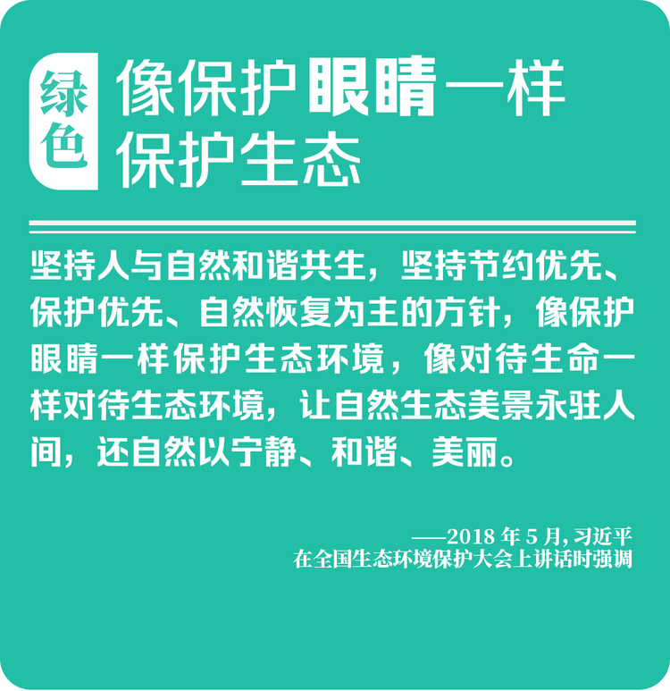 这些点睛的比喻，让新发展理念深入人心