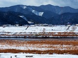 1月26日　火曜日