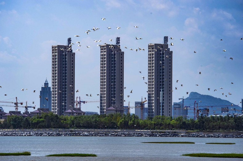 庄河城市一隅.(庄河市委宣传部供图)