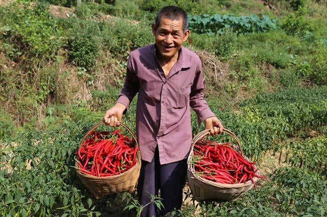 100 Tahun Berdirinya PKT, Partai yang Masih Muda dan Makmur_fororder_139404611_2801129003459472_2870135073746443111_n