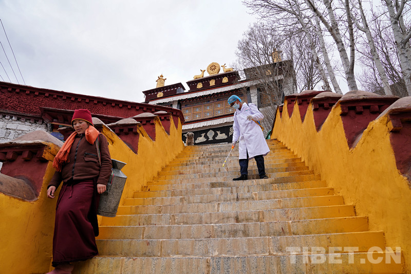 #中国西藏网#“这是我的使命，我义不容辞”