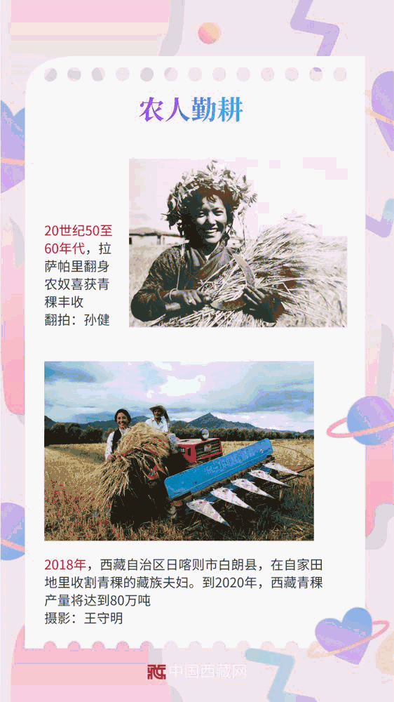 #中国西藏网#【动图海报】镜头见证70年：西藏妇女 风采卓然