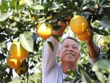 2021年1月27日放送のお便り紹介_fororder_0127-4