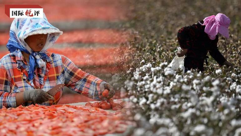 ABD’nin Xinjiang ürünlerine yaptırımı sonunda kendisine zarar getirecek_fororder_ABD  xinjiang pamuk