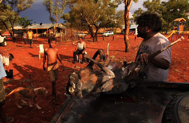 油气勘探威胁澳大利亚土著宁静传统生活-国际在线