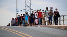 新冠疫情“压低”国际移民增势