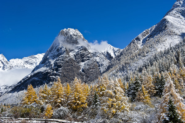 走进东方的阿尔卑斯山四川四姑娘山