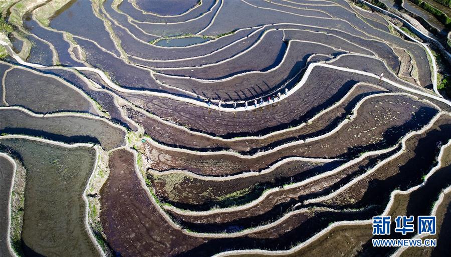 湖北蕲春：梯田景观成就扶贫产业