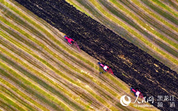 筑牢粮食安全“压舱石” 中华大粮仓“十七连丰”