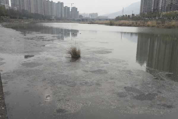 图片默认标题_fororder_1