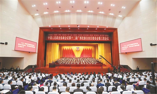 广西壮族自治区政协2020年十件履职大事