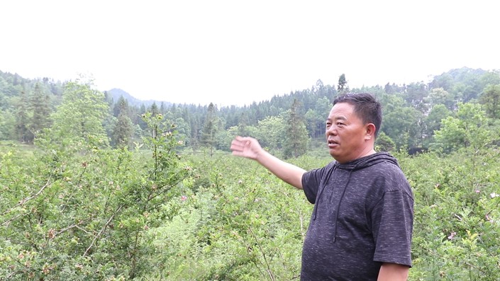 (市州)六盘水:煤矿业主转型 产业革命兴旺