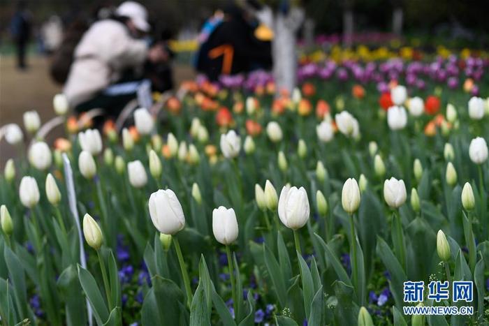 图片默认标题 图片默认标题_fororder_1125691335_15838268786381n