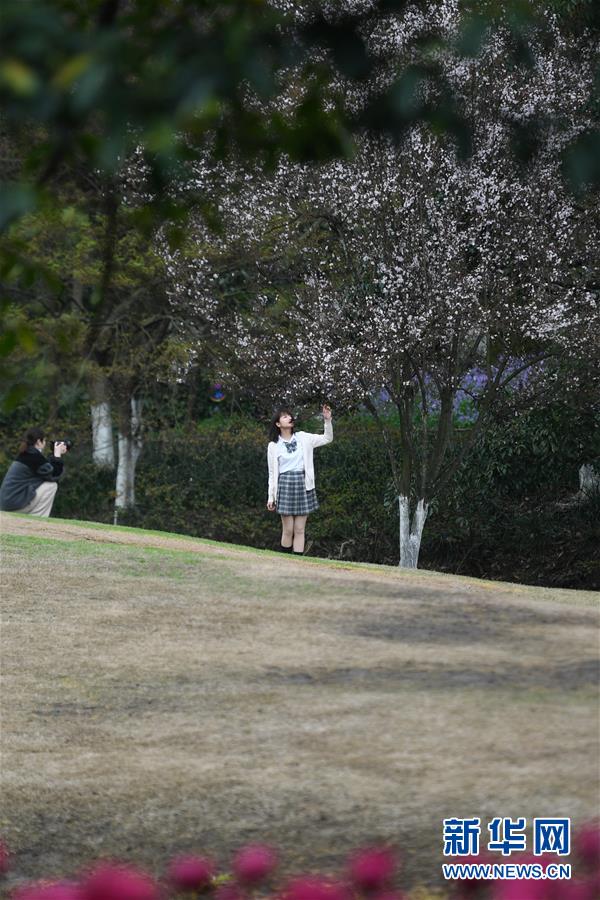 图片默认标题 图片默认标题_fororder_1125691335_15838268785571n