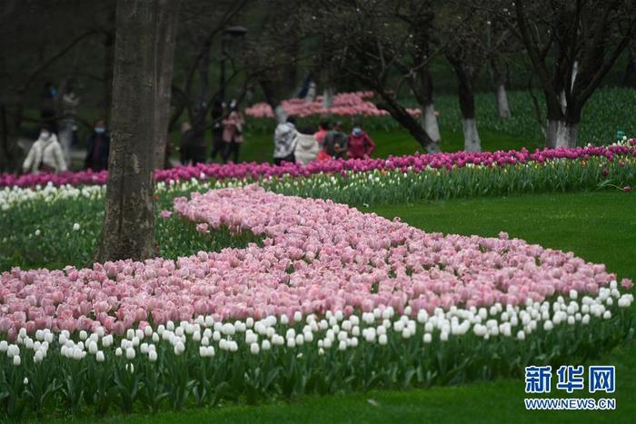 图片默认标题 图片默认标题_fororder_1125691335_15838268784051n