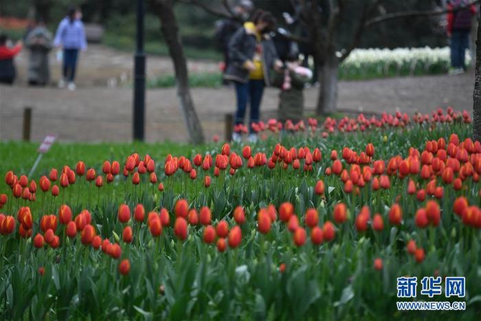 图片默认标题 图片默认标题_fororder_1125691335_15838268783271n