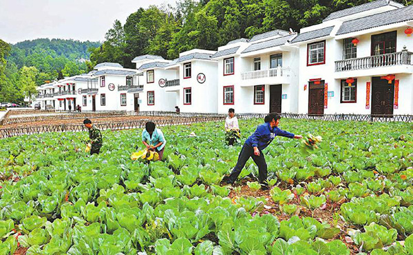 巴中南江县:安居与乐业并重 搬迁与脱贫同步